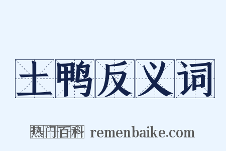 土鸭反义词是什么意思的图片